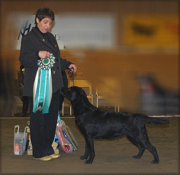 Payton BIS:4 under John Thirwell